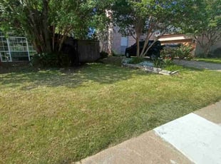 Leaf Removal by Jose Rodriguez for Tyler G. in North Richland Hills, TX