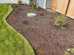 Weeding by Joseph Fullner for Mali T. in Lacey, WA