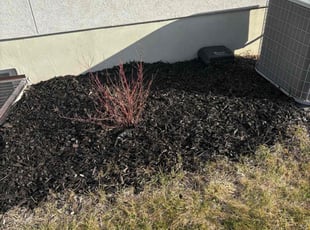 Mulching by Daniel Stevens for Diego A. in Eagle Mountain, UT
