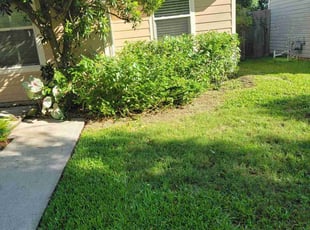 Bush Trimming by Hugo Melgar for Michael S. in Bellaire, TX