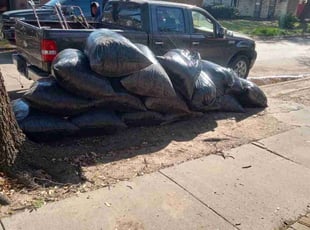 Leaf Removal by Jorge CrisΓ³stomo for Ryan C. in Carrollton, TX