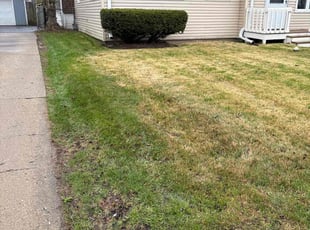Leaf Removal by Ricardo Flores for Shaquita M. in Waukegan, IL