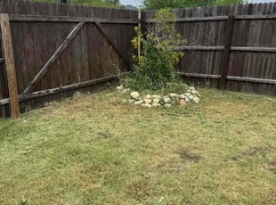 Cleanups by Preston McNeely for Tyquesha P. in San Antonio, TX