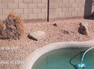 Linda J.'s Leaf Removal service result