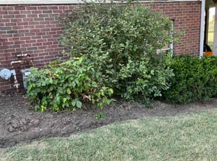 Weeding by Chai Vue for Carl G. in Massillon, OH