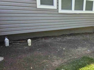 Demetrious C.'s Flower Bed Weeding service result