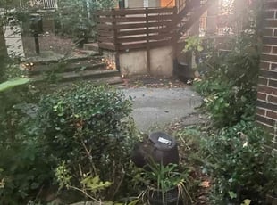 Bush Trimming by Marsha Cooper for Stewart P. in Atlanta, GA
