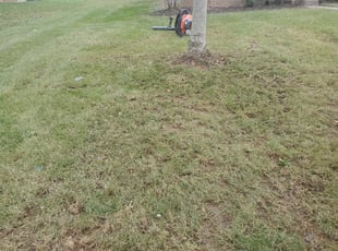 Leaf Removal by Kasandra Velasco for Amanda S. in Louisville, KY