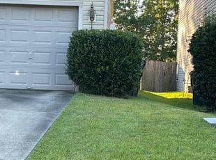 Sandy C.'s Bush Trimming service result