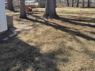 Leaf Removal by Alex Fuller for Anthony M. in Farmington, MN