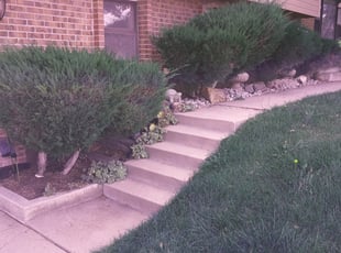 Bush Trimming by Samantha Goodrich for Holliday C. in Denver, CO