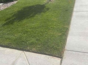 Tabitha D.'s Lawn Service service result