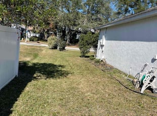 Leaf Removal by Ladarius Lathan for Paul P. in Ocoee, FL