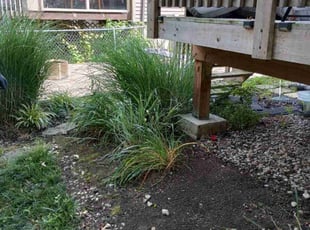 Weeding by Caleb Patton for Natalie W. in Cincinnati, OH