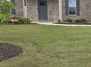Calvin w.'s Grass Cutting service result
