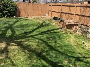 Cleanups by Shadrack Koepke for Jenna W. in Denver, CO