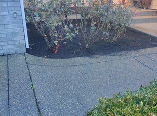 Mulching by Sarah Ramey for Jeff Q. in Tacoma, WA