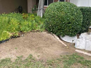 Cleanups by Hugo Lopez for Diane C. in Murrieta, CA