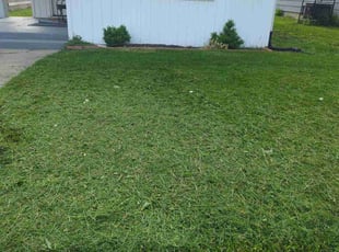 Jesus R.'s Lawn Care service result
