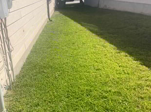 William H.'s Lawn Care service result