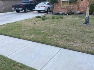 Bush Trimming by Devonn Ford for Nancy J. in Azle, TX