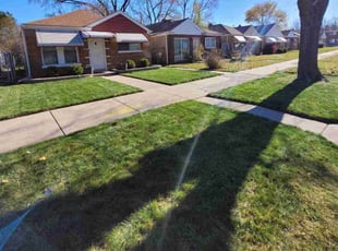 Leaf Removal by Maria Torres for Viola W. in Chicago, IL
