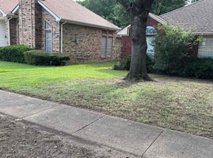 Brogan R.'s Leaf Removal service result