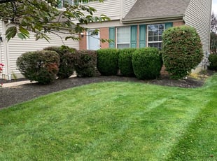Bush Trimming by B.J. Schuetz for Deanna P. in Westerville, OH