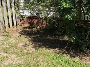 Weeding by Shamika Barnes for Caroline D. in Norfolk, VA