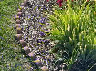 Weeding by Chris Heath for Jennifer C. in Lakewood, CO