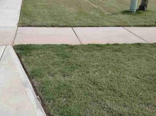 Cleanups by Michael Cherry for Ruth P. in Charlotte, NC