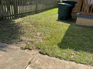Cleanups by Paul Tollefson for Neda M. in Tallahassee, FL