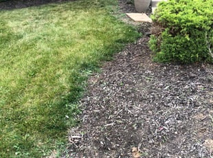 Weeding by Ryan Black for Gregory M. in Kansas City, MO
