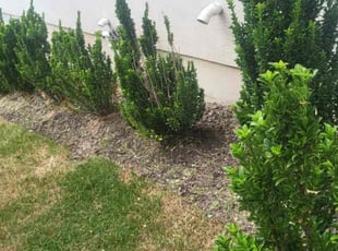 Weeding by JOHN MCGURTY for Alexis P. in Fort Lee, NJ