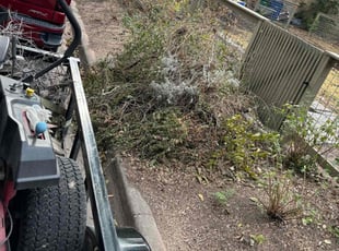 Bush Trimming by Hector Espinosa for Mary K. in Austin, TX