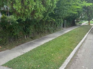 Kyle s.'s Lawn Maintenance service result
