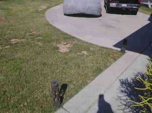 Cleanups by Sergio Castaneda for Frank P. in Chula Vista, CA