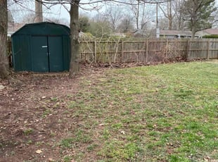 Leaf Removal by Brandon McDonald for Amber E. in Springfield, MO