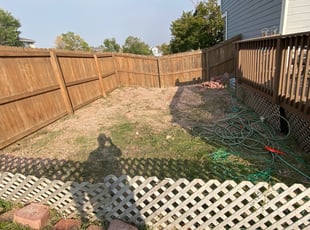 Cleanups by Jesse Nunez for Matthew H. in Thornton, CO