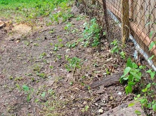 Cleanups by Ramiro Vicente for Savonia C. in Saint Charles, MO