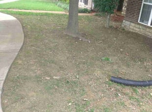 Weeding by Robert Beals for Taylor F. in Cordova, TN