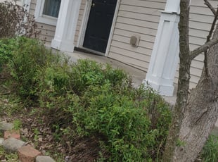 Bush Trimming by Chris Steinhour for Mohamed A. in Columbus, OH