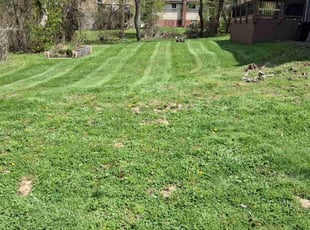 Richard R.'s Lawn Care service result