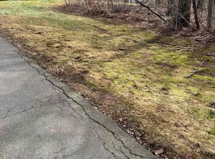 Leaf Removal by Kenneth Mccarthy for Amr A. in South Windsor, CT