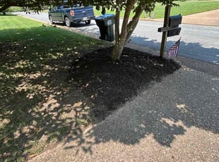 Vilma C.'s Mulching service result