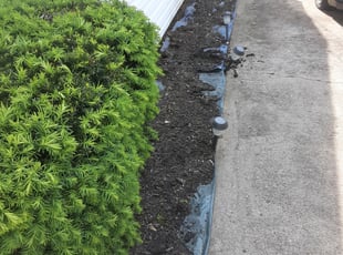 Leaf Removal by Caleb Patton for Torrance T. in Cincinnati, OH