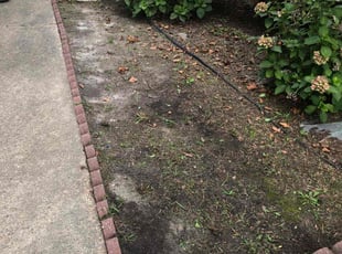Weeding by John Morrisroe for TERRIAN H. in Virginia Beach, VA