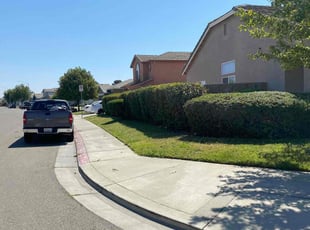 Bush Trimming by Wiley Douglas for Rhonda C. in Stockton, CA