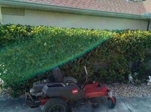 Bush Trimming by Sterlinne Jerome for Micheal L. in North Port, FL