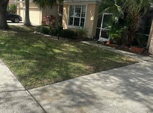 Leaf Removal by Arely Elrod for Garth P. in Parrish, FL
